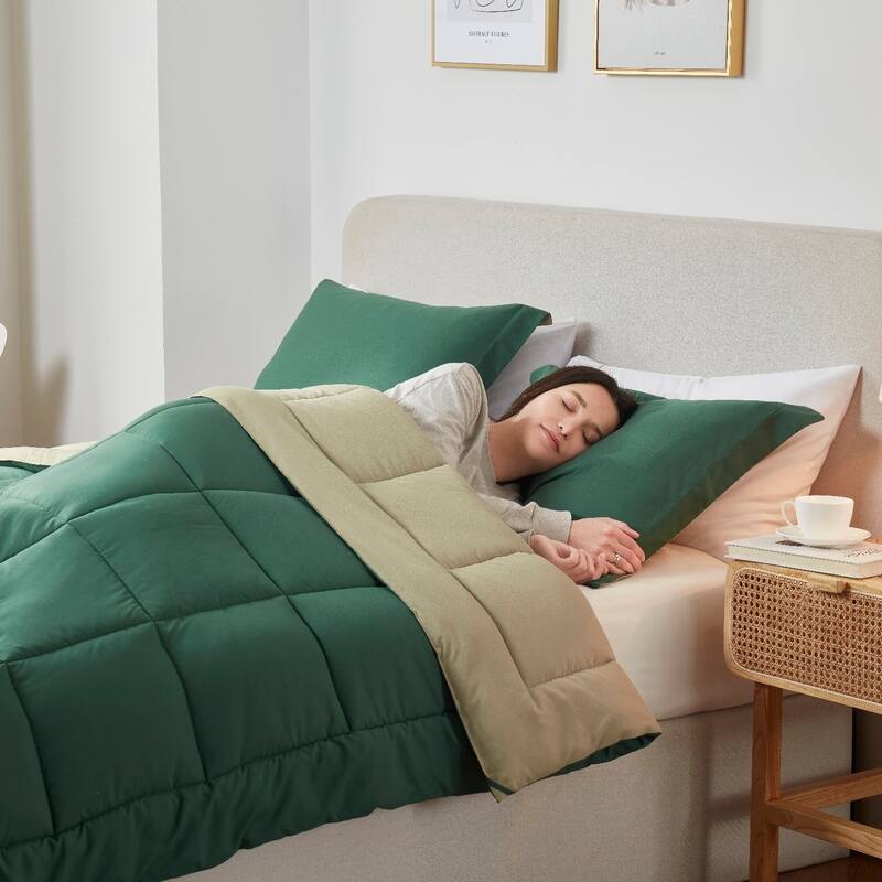 Empyrean All Season Alternative Down Lightweight Reversible Comforter Set