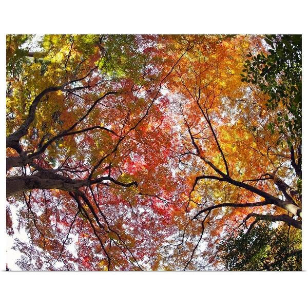 Shop Autumn Trees Tonogayato Garden Tokyo Poster Print Overstock 16446886