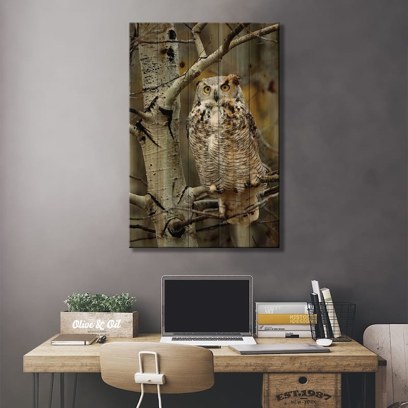 Great Horned Owl Pale Form, Perched In Tree, Alberta, Canada Print On Wood by Tim Fitzharris - Multi-Color