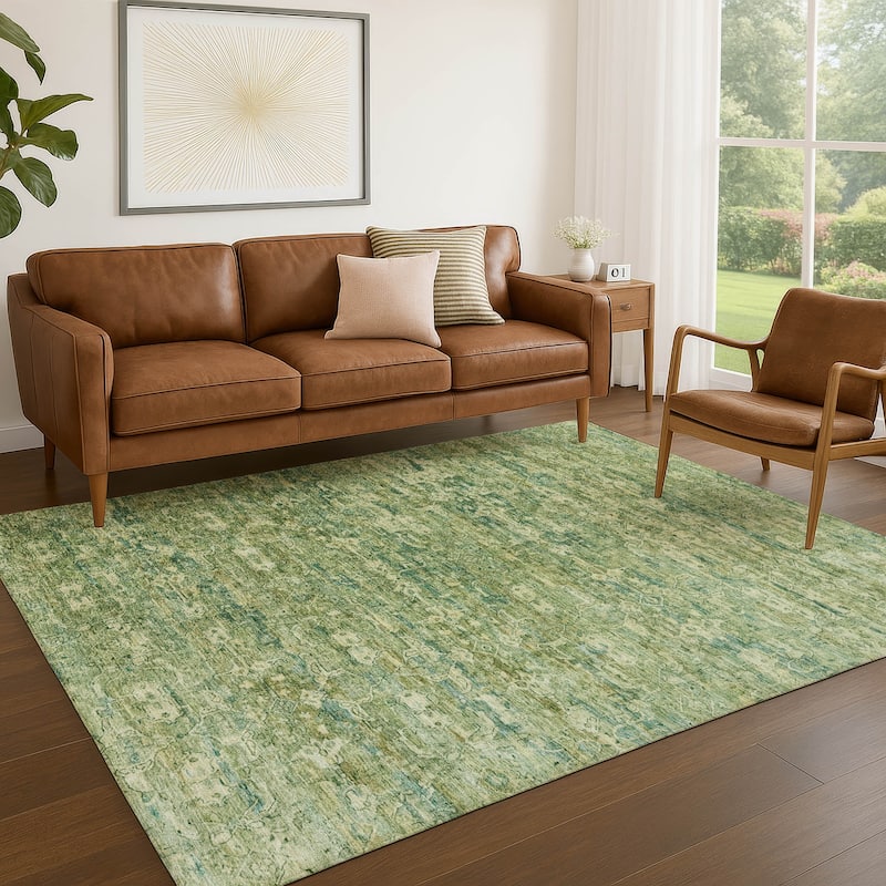 Machine Washable Indoor/ Outdoor Traditional Harmony Chantille Rug