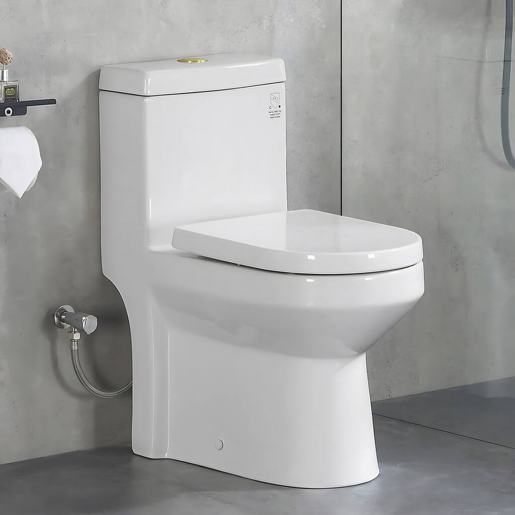 HOROW One-piece 0.8/1.28 GPF High Efficiency Dual Flush Round Toilet in White with Seat Included and Brushed Gold Button
