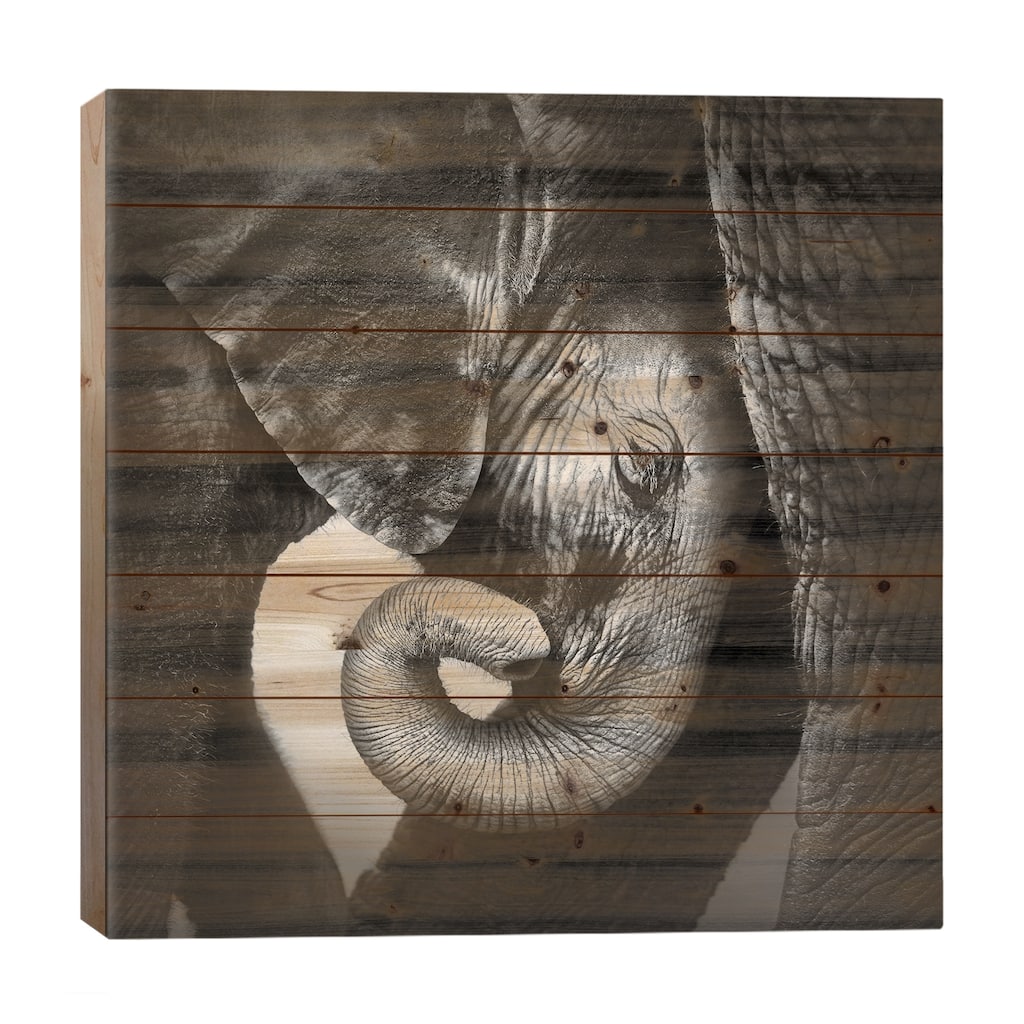 Baby Elephant Seeking Comfort Print On Wood by Johan Swanepoel - Multi-Color