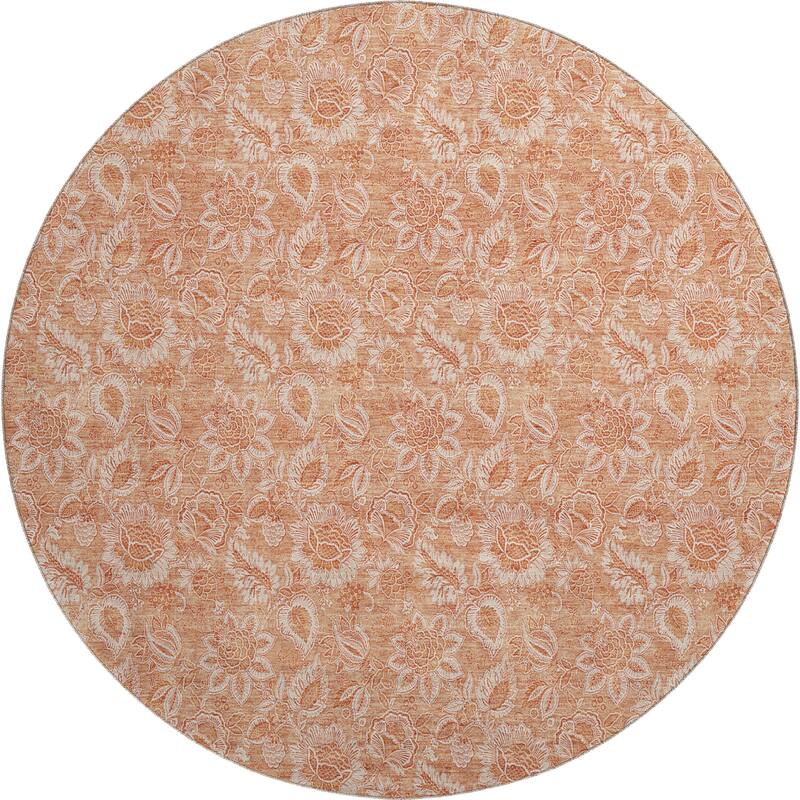 Premium Washable Super Soft Floral Modern Mayfield Rug