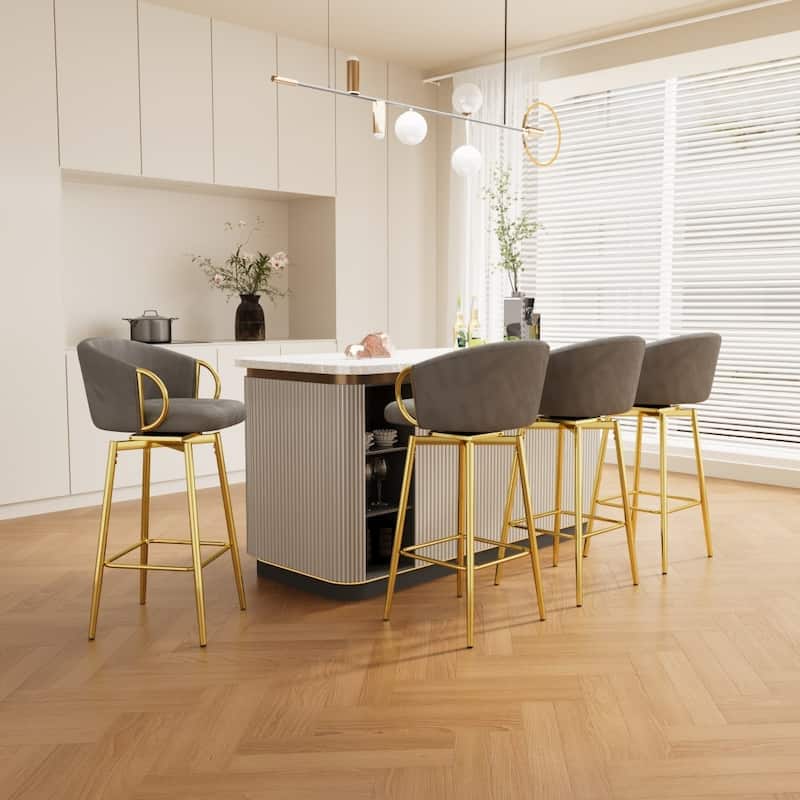 Dining Chairs Set of 4 Modern Style Bar Chairs with Simple Design