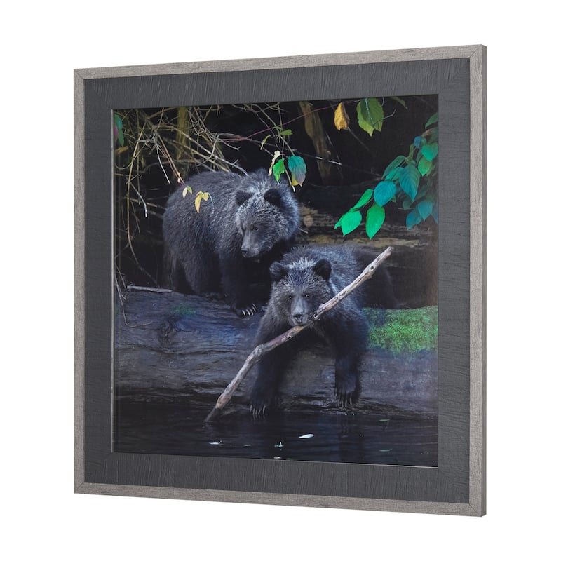 Playing Bears Framed Art Print