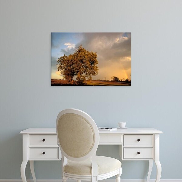 Easy Art Prints Walter Bibikow's 'Trees After Rain And Rainbow' Premium Canvas Art