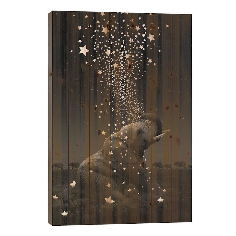 Star Light - Elephants Print On Wood by Soaring Anchor Designs - Multi-Color - 26x18x1.5