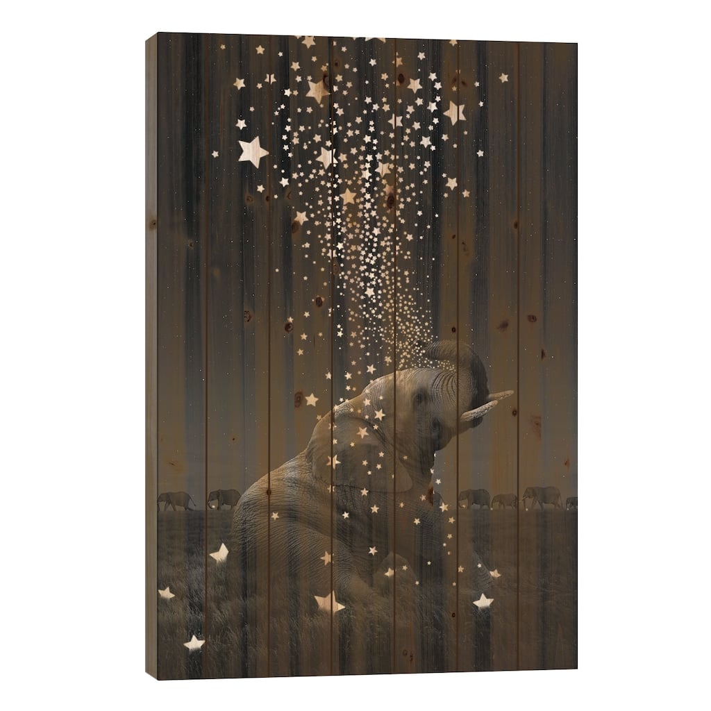 Star Light - Elephants Print On Wood by Soaring Anchor Designs - Multi-Color