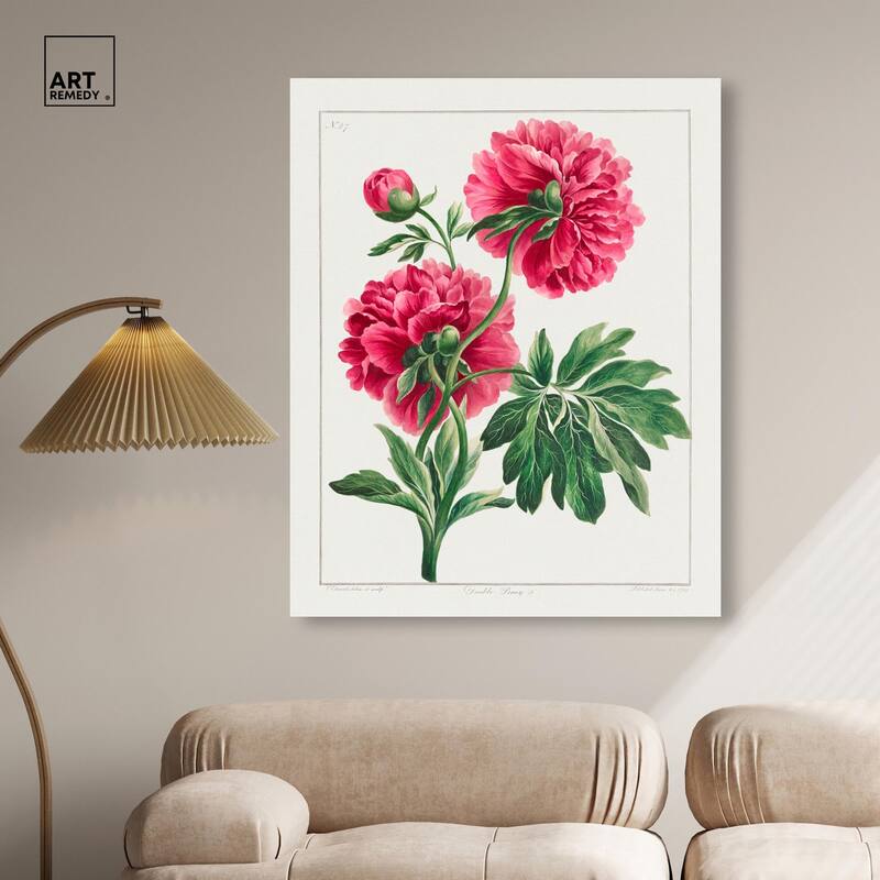 Double Peony (1789) Canvas by Art Remedy, Gallery Wrapped