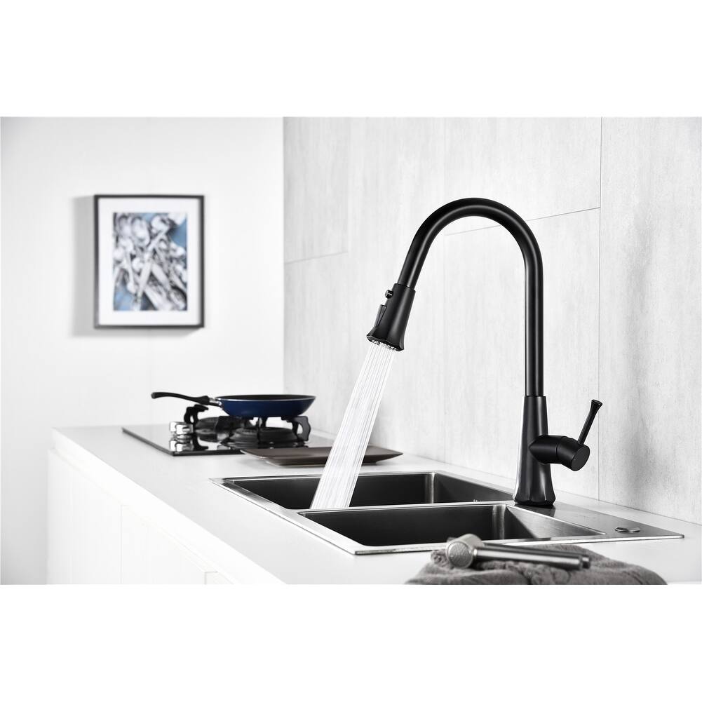 Single Handle Pull-out Kitchen Faucet Matte Black - Overstock - 32027783