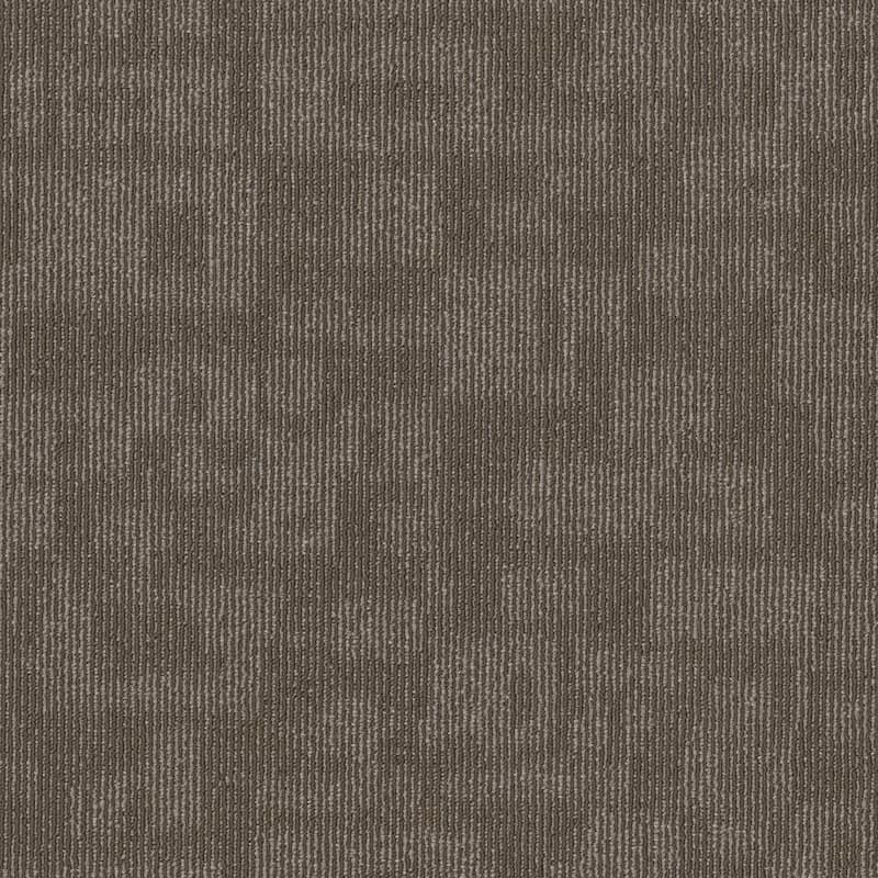 Shaw Forma 24" x 24" Glue Down Commercial Carpet Tile - Sold By Carton - Alliance