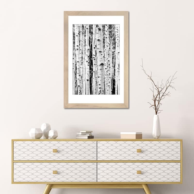 iCanvas "Birch In Black & White" by Sisi & Seb PFA