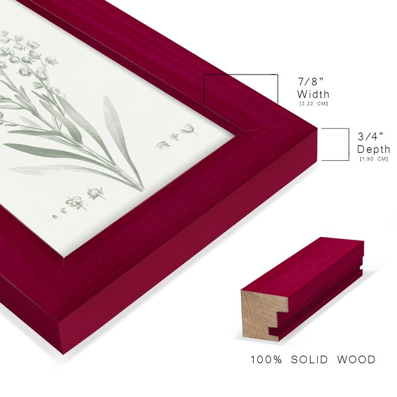 Botanical Study in Sage I -Framed Print w/glass-Cherry Red