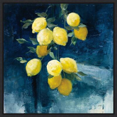 Lemon Grove I by Julia Purinton Framed Canvas Art