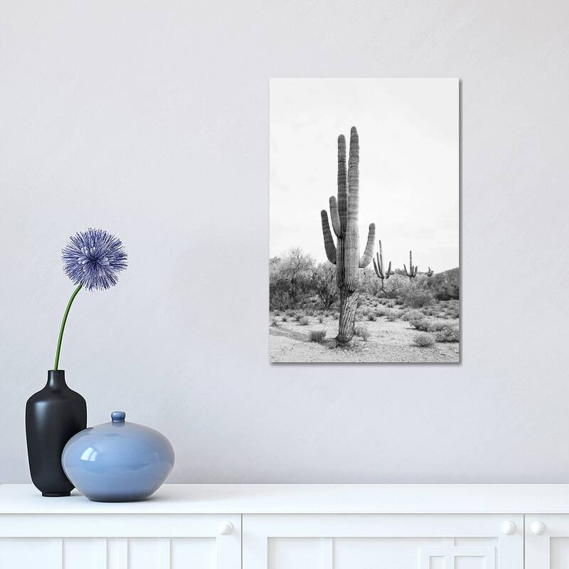 iCanvas "Desert Cactus In Black & White" by Sisi & Seb Canvas Print - 18x12x1.5