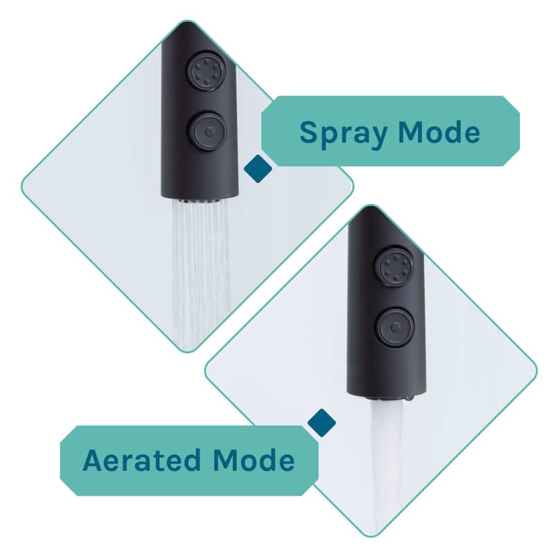 TEHILA Utility Sink Laundry Tub with Black High Arc Coil Faucet