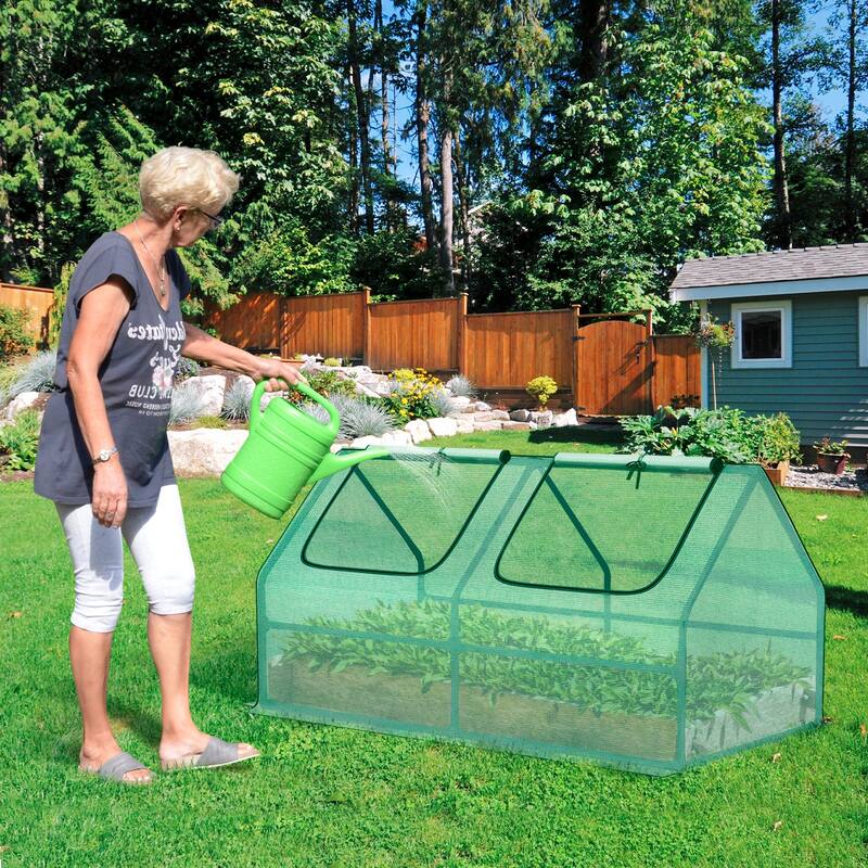 Aoodor 4 ft. x 2 ft. x 2 ft. Mini Greenhouse 2 Zipper Doors