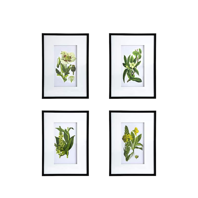 Set of 4 Botanical Flower Wall Art