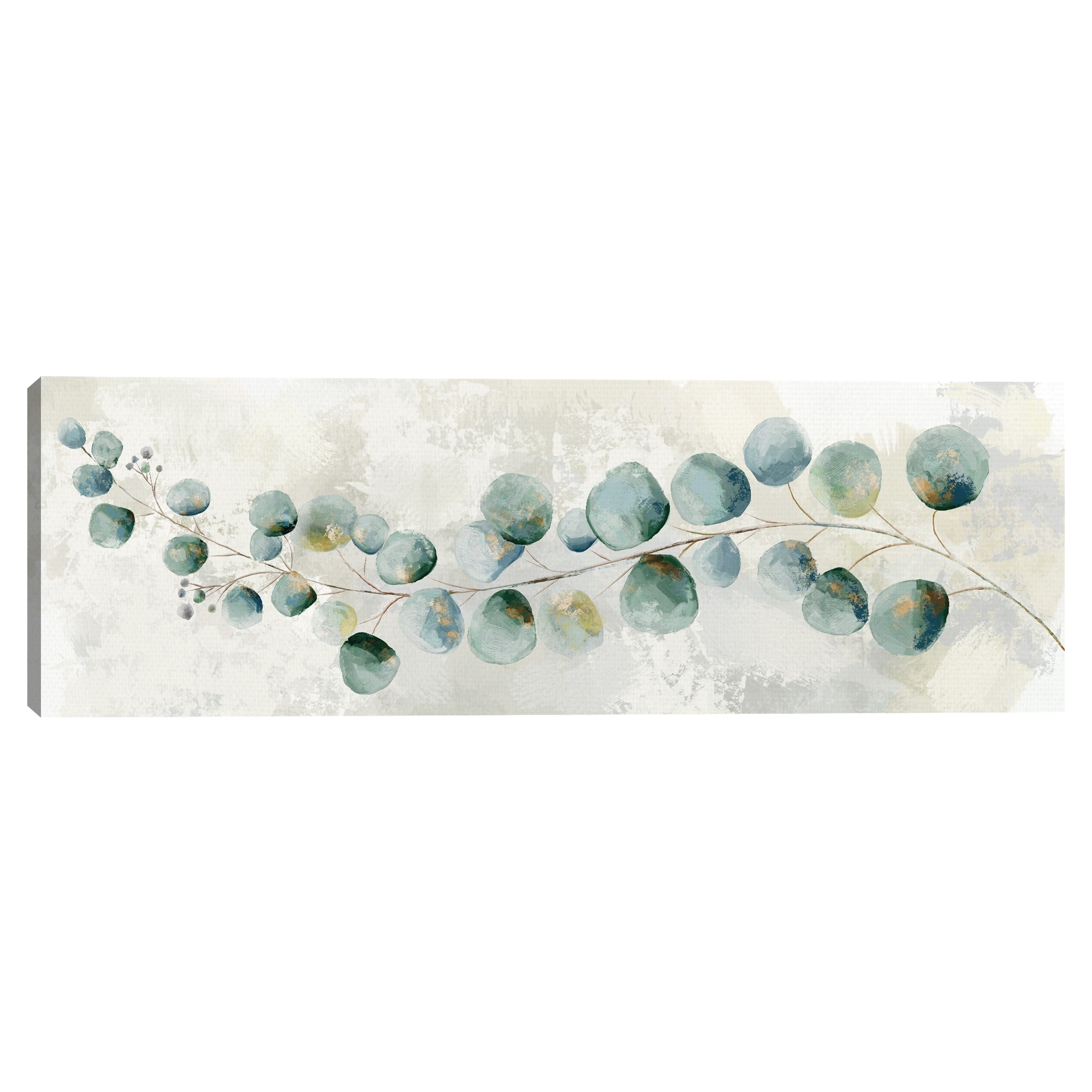 Eucalyptus Branch II Canvas Art Print