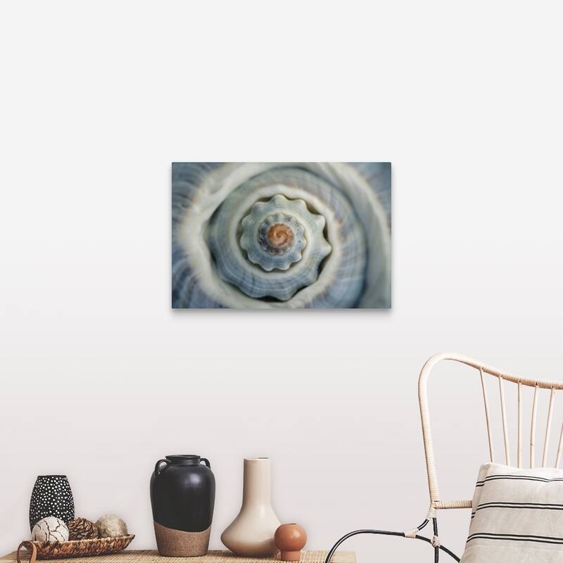 "Colorful conch shell spiral, Vienna, Austria" Canvas Wall Art - Includes Hardware - 30 x 20