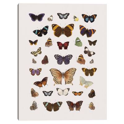 Papillons Harmony Canvas Art Print
