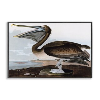Stupell Classic Pelican at Beach Framed Giclee Art Design By Stellar ...