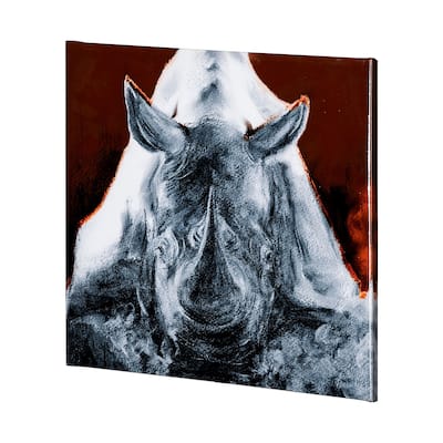 Rhino Burn Orange (41 x 41) Canvas Art Print