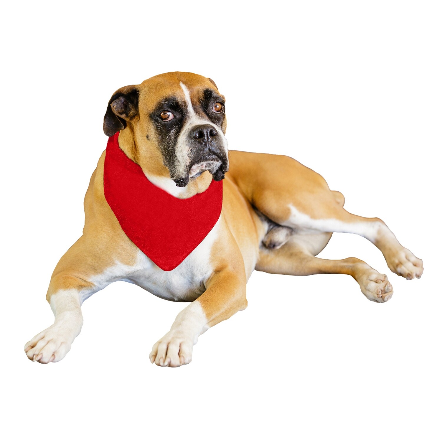 neckerchief bibs