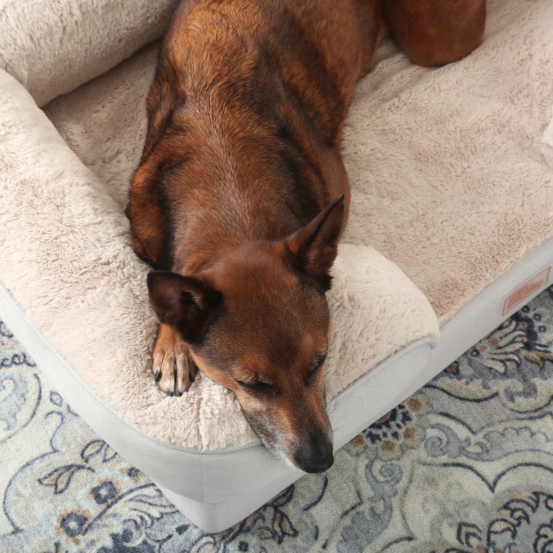 TOWN & COUNTRY EVERYDAY CuddleTown Comfy Solid Bolster Sofa Supportive Pet Bed