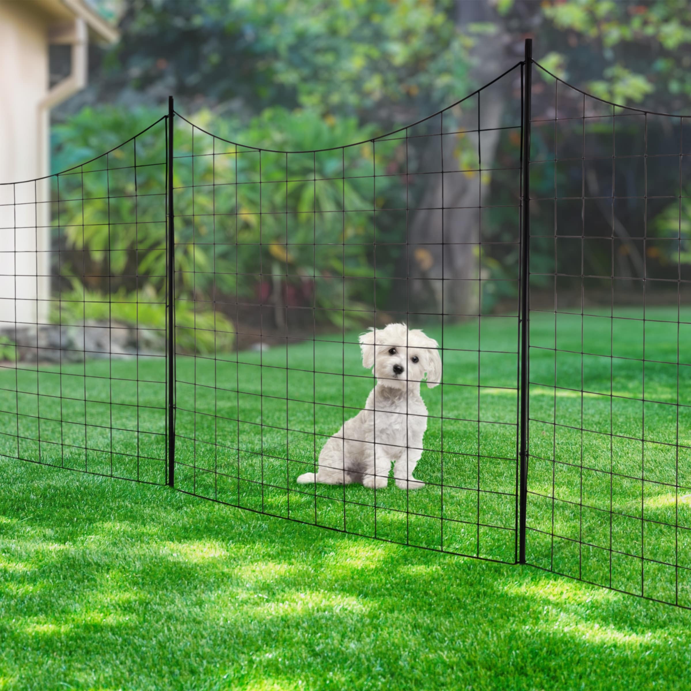 No dog fence top