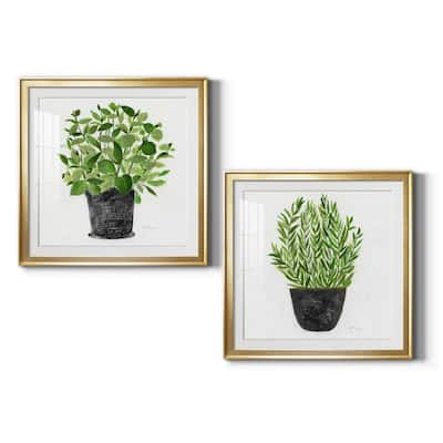 Herb Garden I Premium Framed Print - Ready to Hang