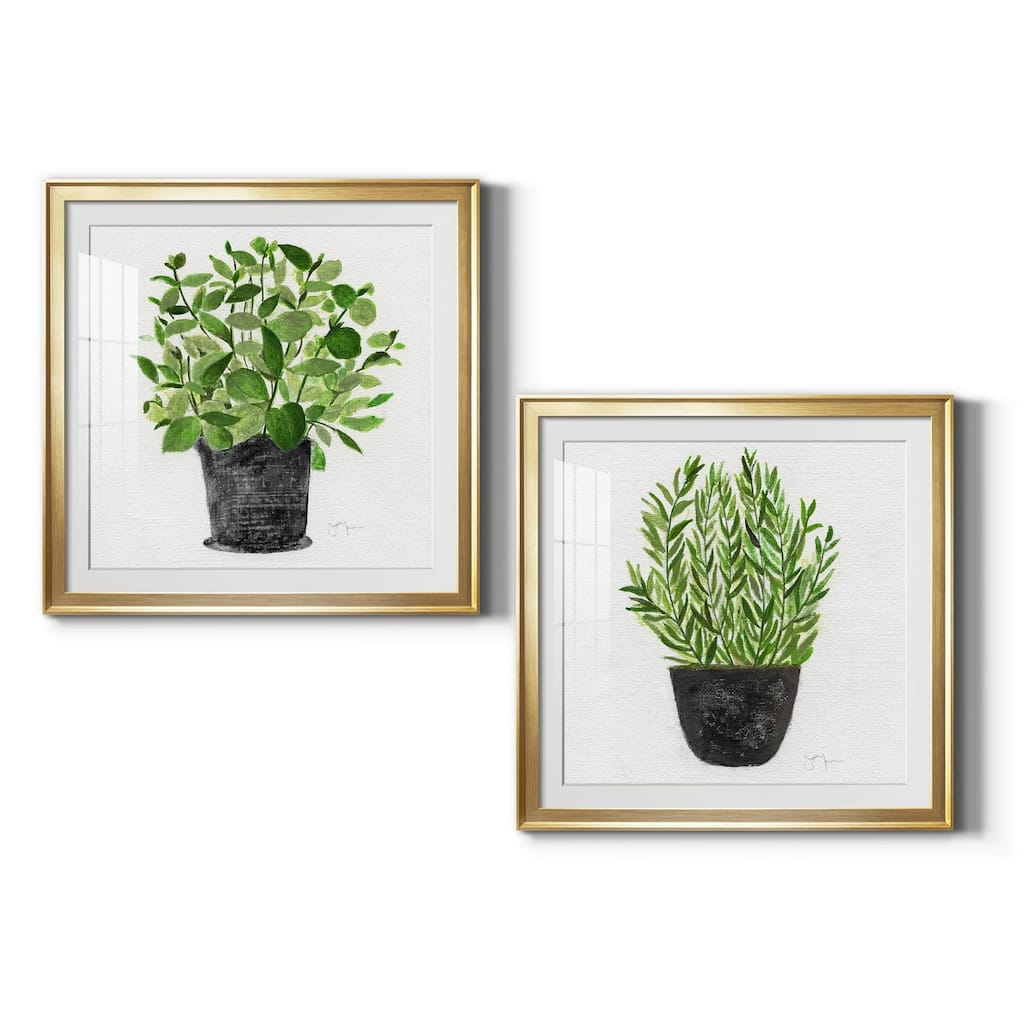 Herb Garden I Premium Framed Print - Ready to Hang