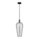 Option Oil Rubbed Bronze / Light Smoke