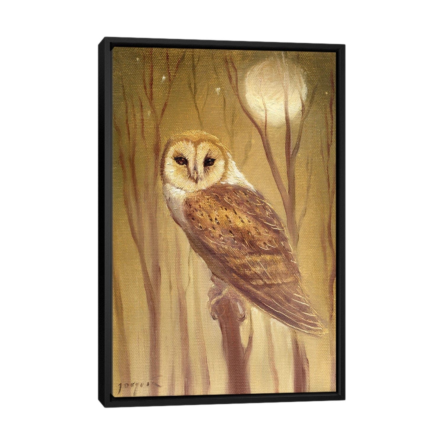 iCanvas "The Owl" by David Joaquin Framed Canvas Print