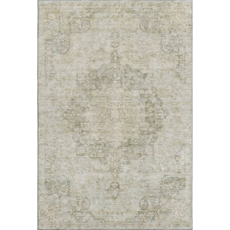 Premium Washable Super Soft Vintage Traditional Mayfield Rug