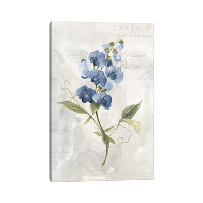 iCanvas "Blue Linen Sweet Pea" by Carol Robinson Canvas Print