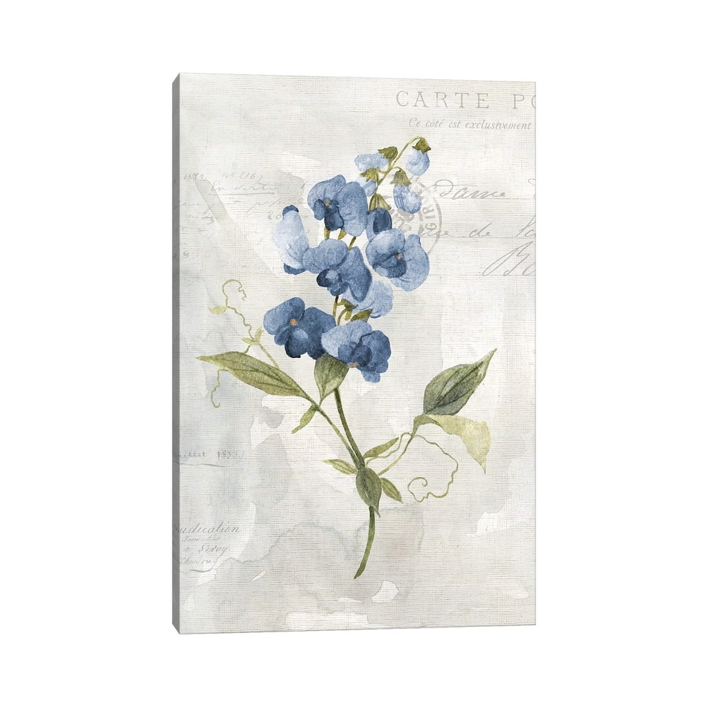 iCanvas "Blue Linen Sweet Pea" by Carol Robinson Canvas Print