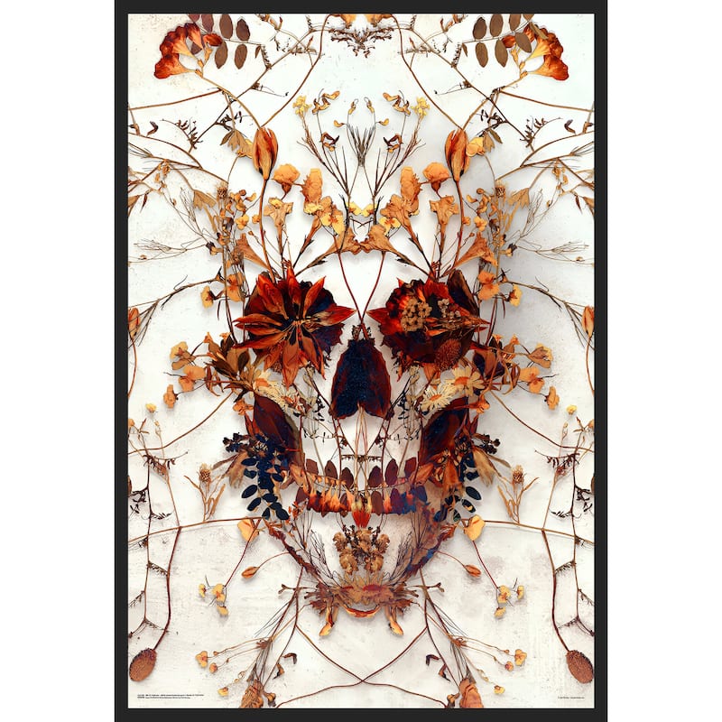 Delicate Skull Framed Art Poster - 24 x 36 Inch