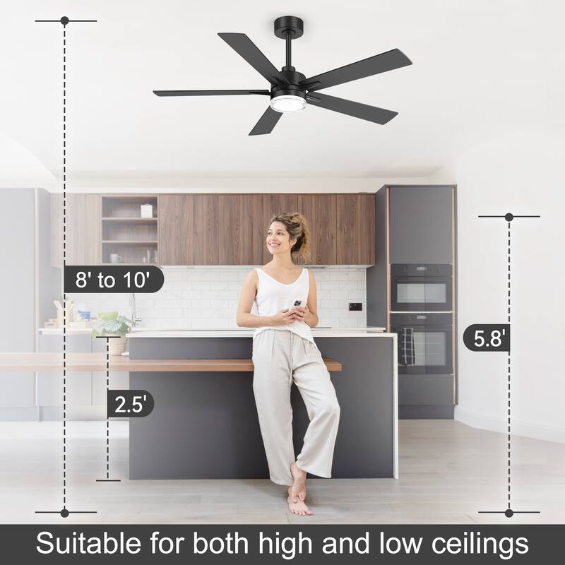 52" Modern Black Reversible 5-Blade Clear Acrylic Lens Ceiling Fan with Light and Remote