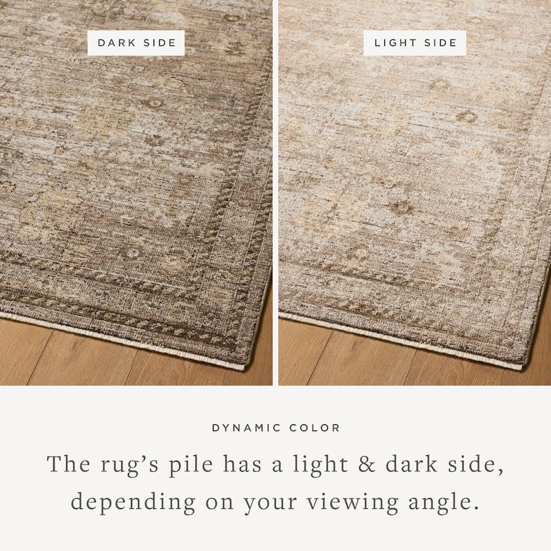 Alexander Home Paloma Traditional Area Rug