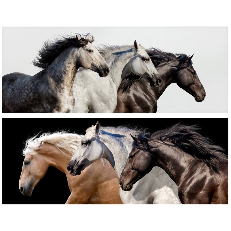 Horse Glass Wall Art Printed on Frameless Free Floating Tempered Glass Panel - Black