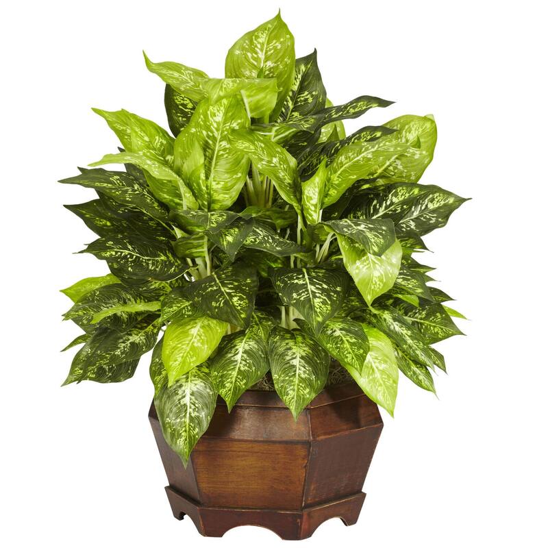 Silk Dieffenbachia Plant - 24 Inch Farmhouse Decor, Realistic Faux Plant with Planter, Indoor Greenery for Home & Office - 2ft.