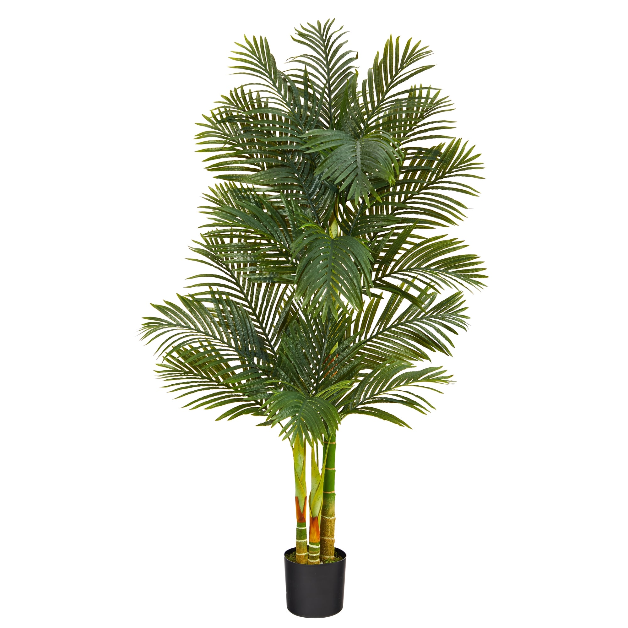 6' Golden Cane Artificial Palm Tree - 6"