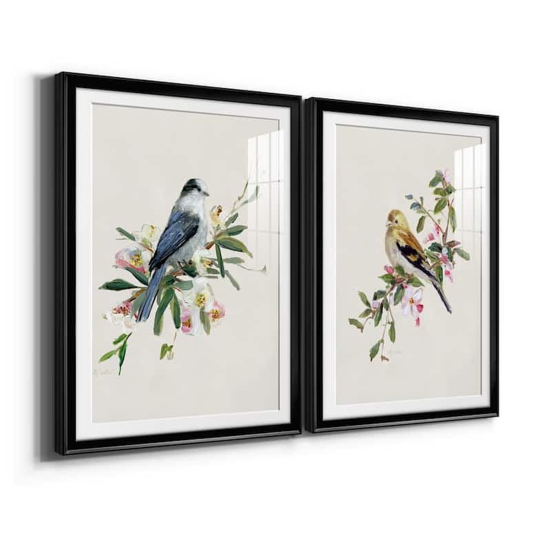 Spring Song Gray Jay Premium Framed Print - Ready to Hang