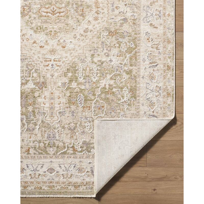 Livabliss Seclusion Traditional Area Rug