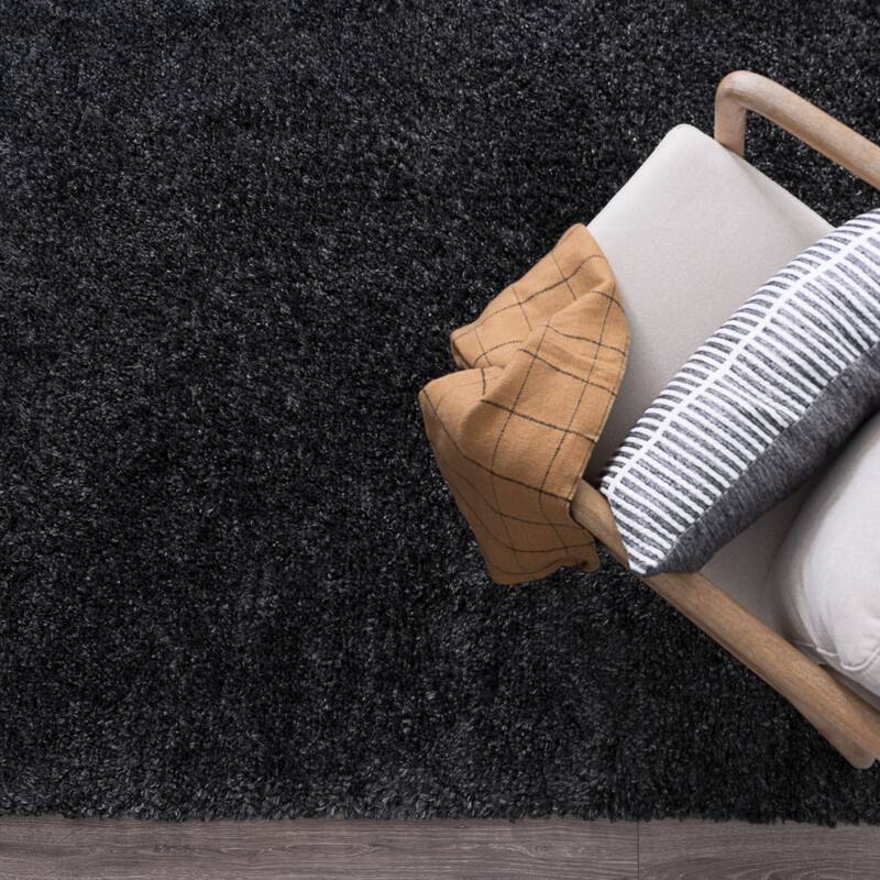 Sohni Shag Farmhouse Solid Color Indoor Area Rug