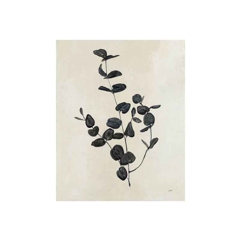 Botanical Study II (28 x 35) Canvas Art Print - Small