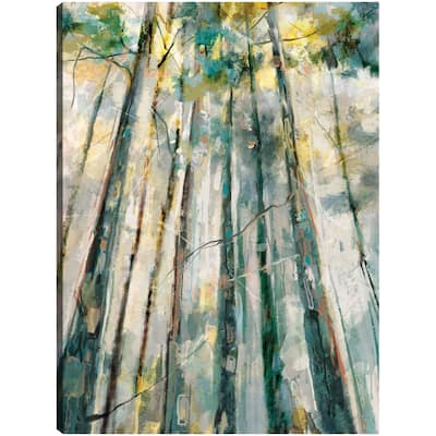 Majestic By Studio Arts Canvas Art Print