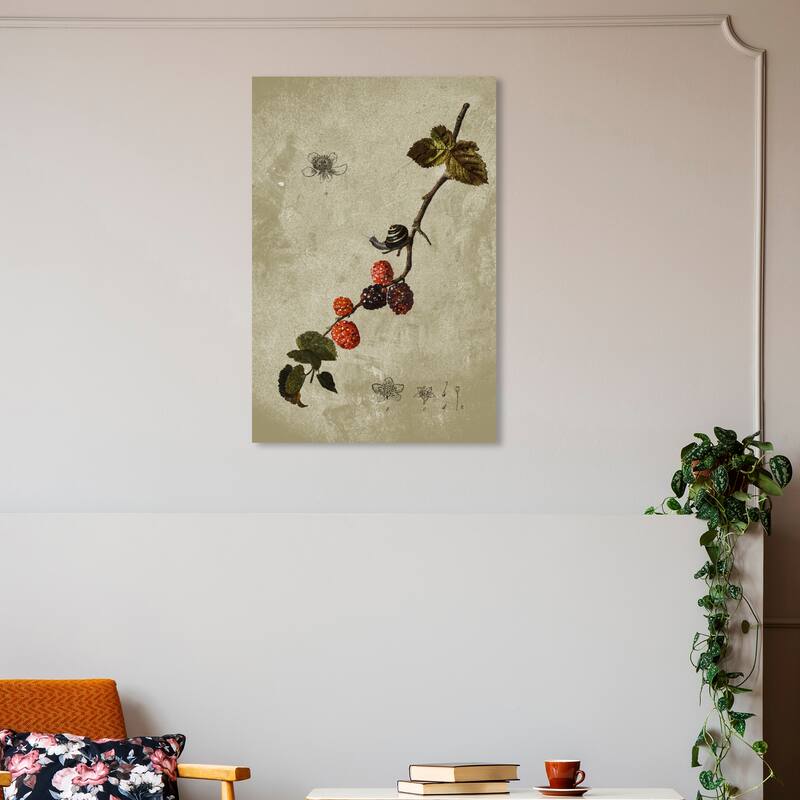 Wynwood Studio Canvas Floral and Botanical Botanical Raspberry Red and Scarlet Traditional Wall Art Canvas Print - 20 x 30