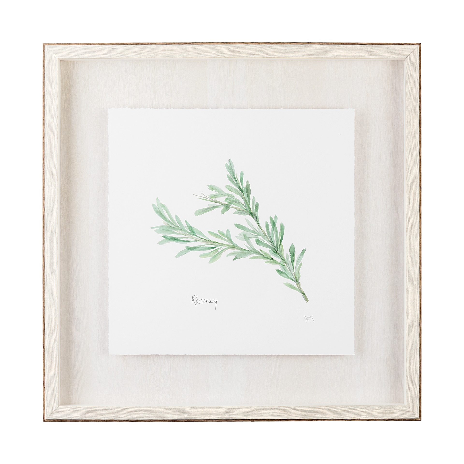 Mercana Rosemary v2 by Chris Paschke a Framed Art Print Matted under Glass